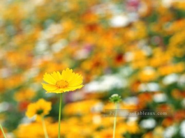 Fleurs réalistes œuvres - rps055 personnalisée photo fleur